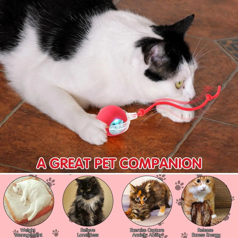 Bola Interativa Inteligente para Gatos – 3 Modos, Cauda de Rato, Recarregável