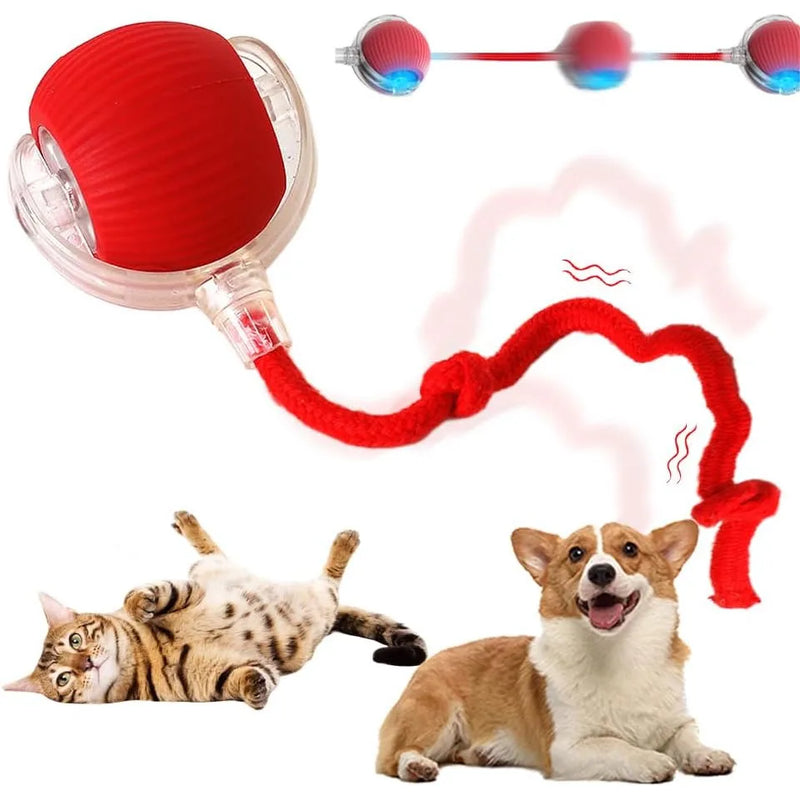 Bola Interativa Inteligente para Gatos – 3 Modos, Cauda de Rato, Recarregável